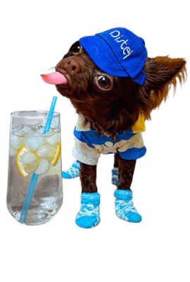 dogs-new-water-final.png (1)