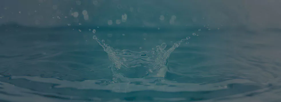 bg_desc